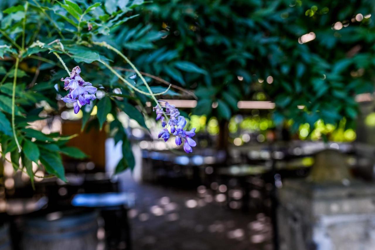 Logis Hotel Du Chene 이터쟈수 외부 사진